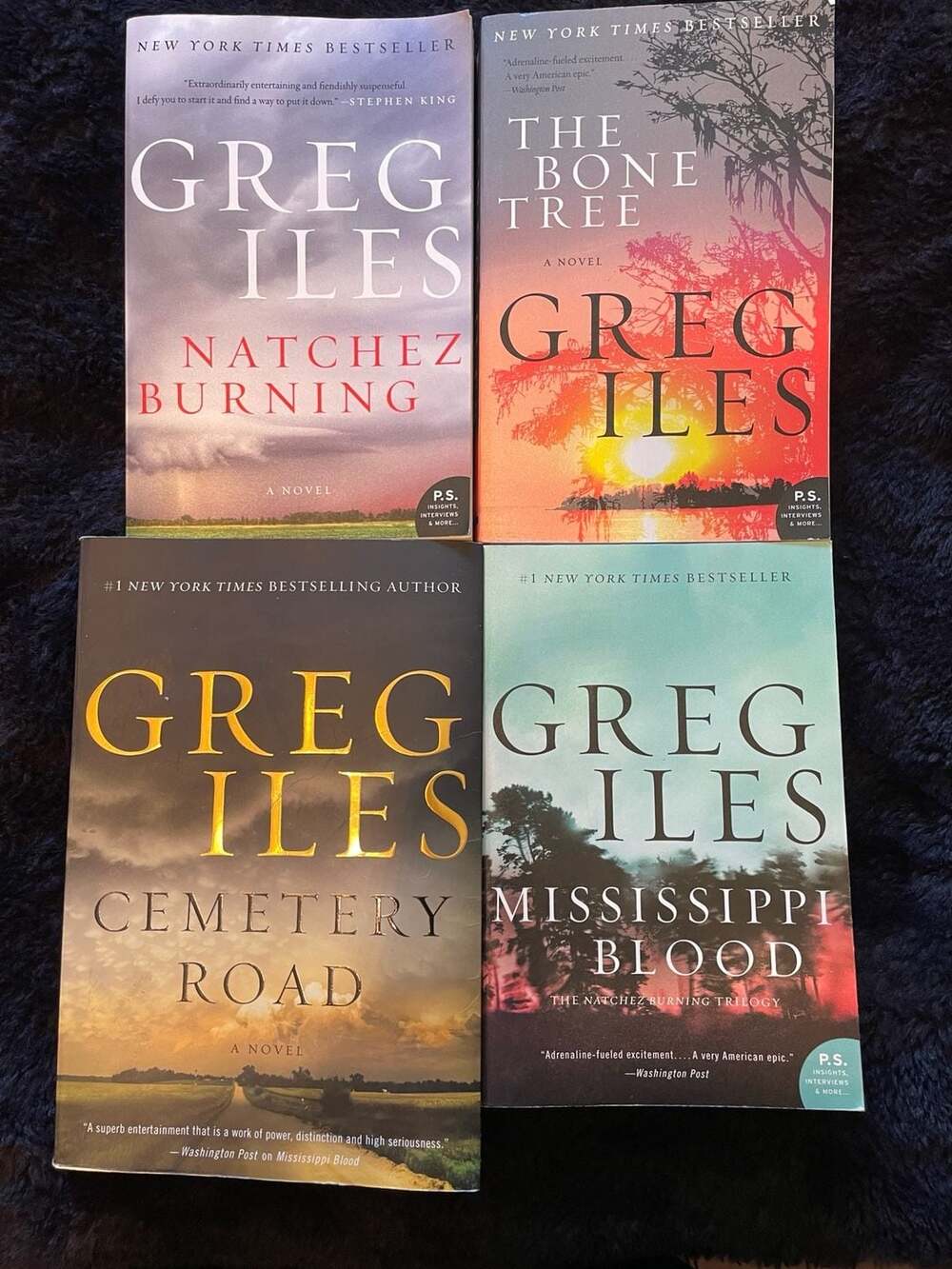 Greg Iles 4-Book Lot Thriller Book Bundle Beach Reading Best Selling Author